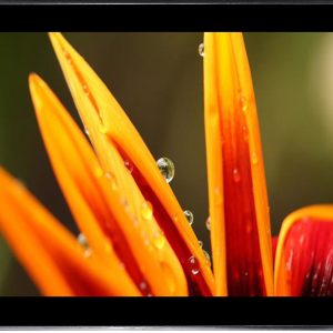 Monitor Táctil de 19"