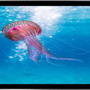 Monitor Táctil de 32"