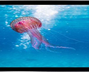 Monitor táctil de 21.5"