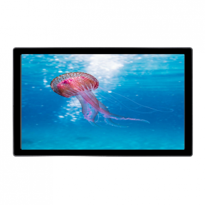 Monitor Táctil de 23.8" con cristal de 3mm